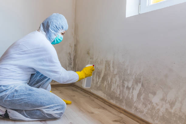 Licensed Mold Testing service in Bellefonte, PA - WQB Mold Removal