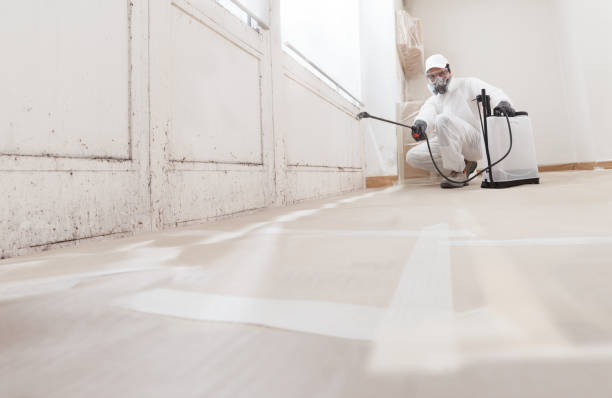 24/7 Emergency Mold Testing experts in Bellefonte, PA