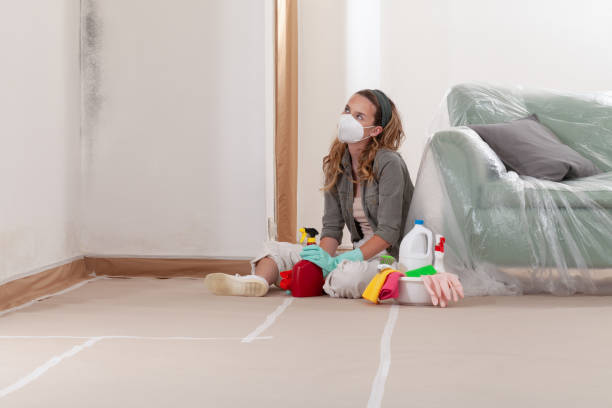 Reliable Mold Testing contractor in Bellefonte, PA by WQB Mold Removal
